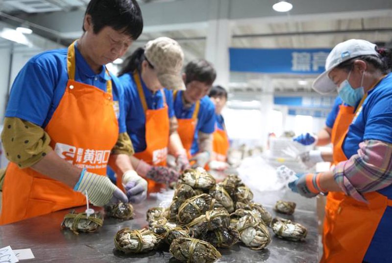 大闸蟹批发市场风云变
