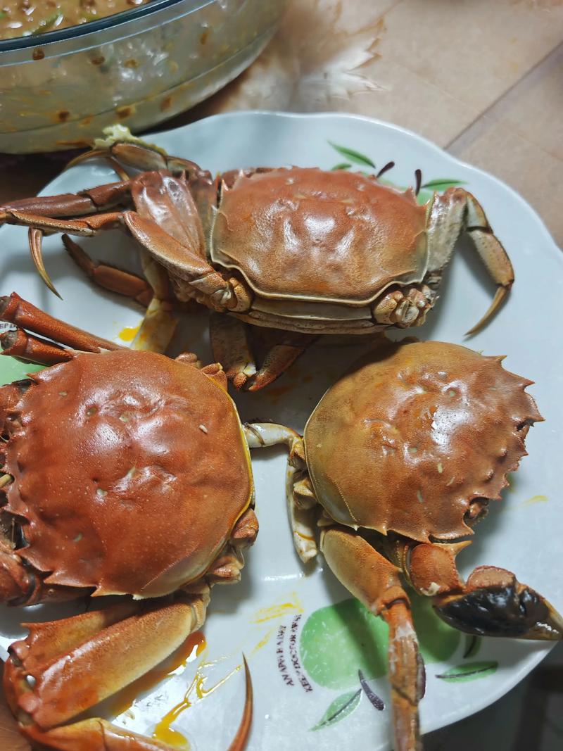 品鲜东营大闸蟹：秋风起蟹肥之时
